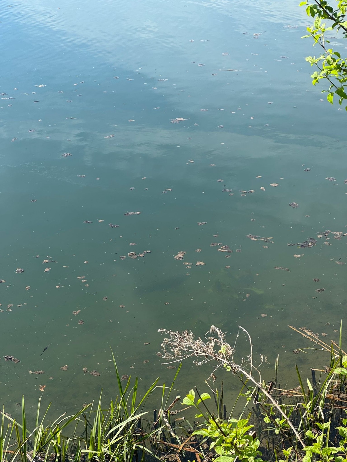 Angeln vom Boot an der Donau