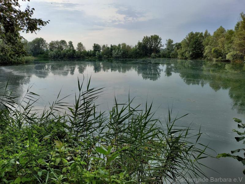 Galeriebild 10