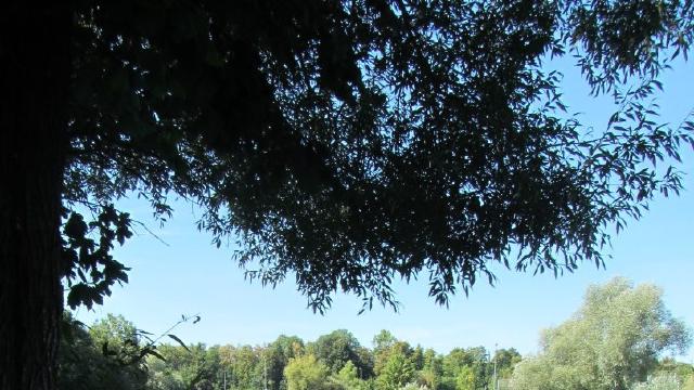 Altöttinger Weiher