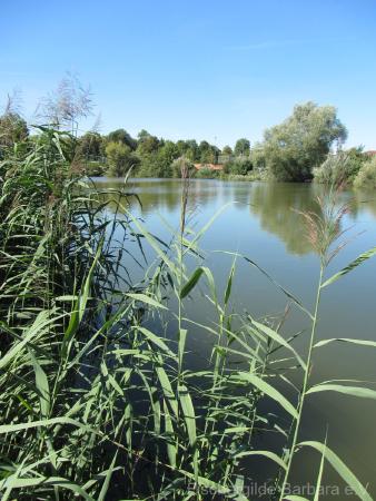 Altöttinger Weiher – Bild 2