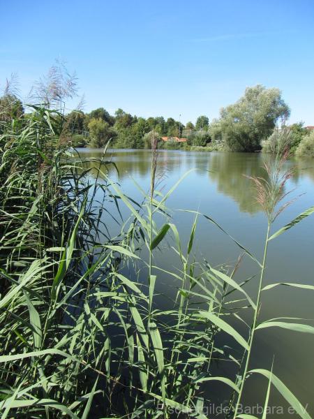 Altöttinger Weiher – Bild 2