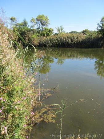 Altöttinger Weiher – Bild 3