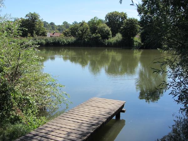 Altöttinger Weiher – Bild 4