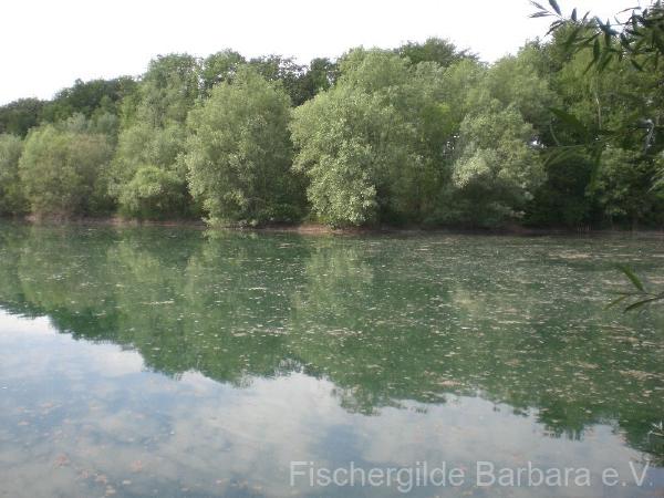 Herrentratsee – Bild 4