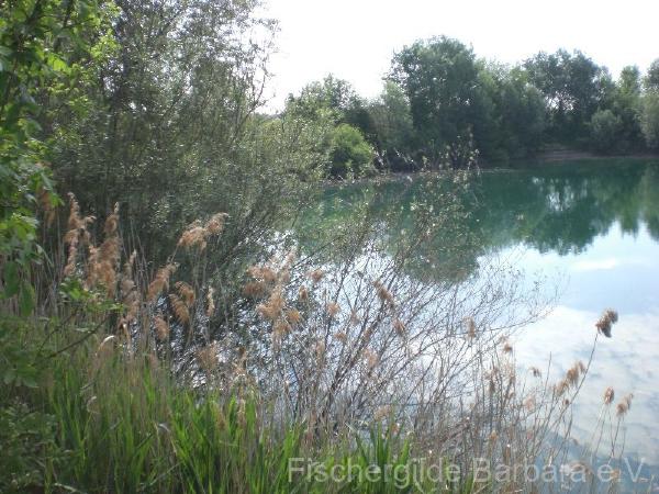 Herrentratsee – Bild 7