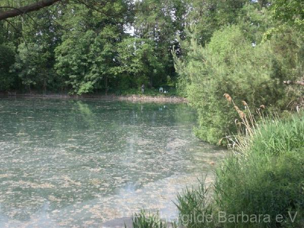 Herrentratsee – Bild 8