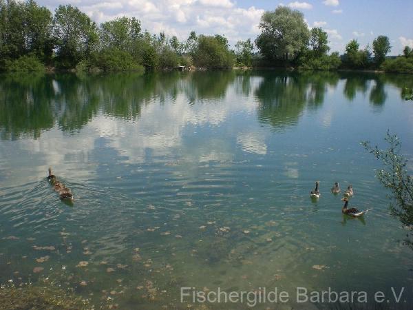 Herrentratsee – Bild 11