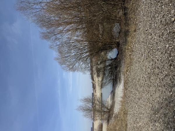 Hurlacher See – Bild 10