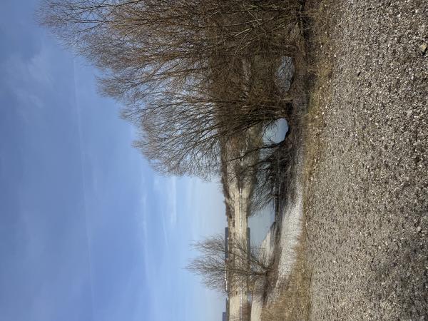 Hurlacher See – Bild 11