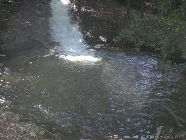 Unterer Wiesbach – Bild 2