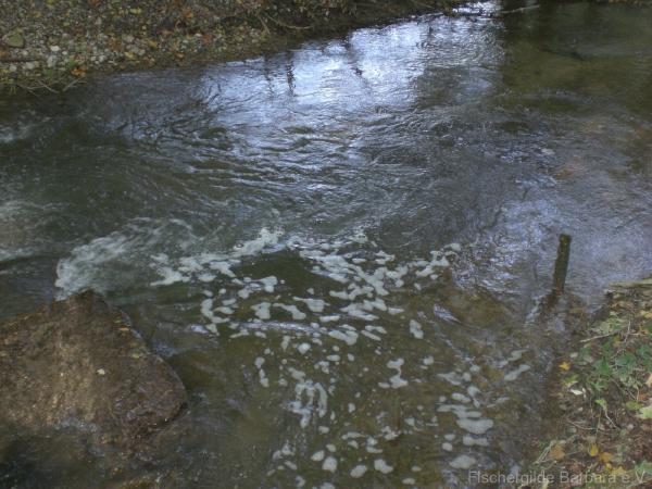 Unterer Wiesbach – Bild 3