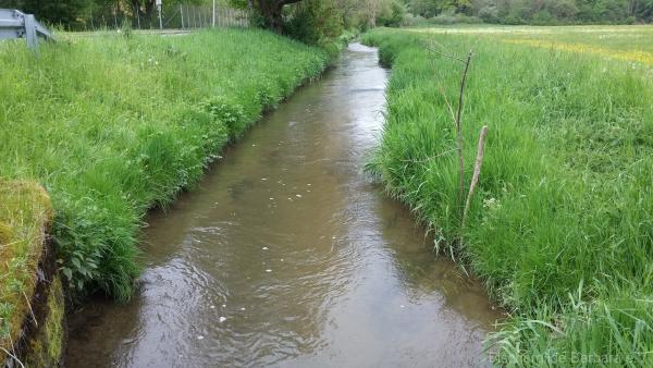 Unterer Wiesbach – Bild 6