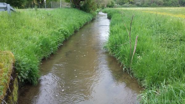 Unterer Wiesbach – Bild 5