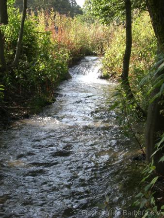 Unterer Wiesbach – Bild 1