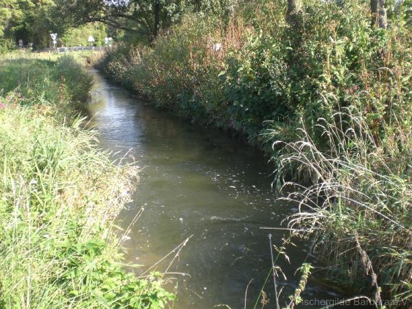 Unterer Wiesbach – Bild 9