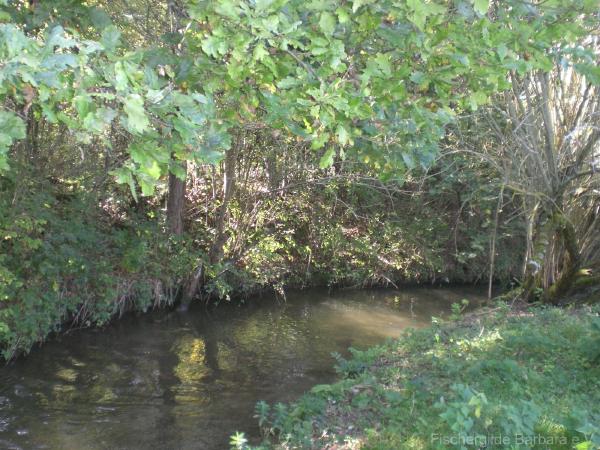 Unterer Wiesbach – Bild 12