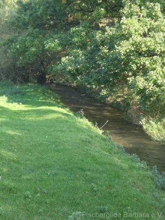 Unterer Wiesbach – Bild 13