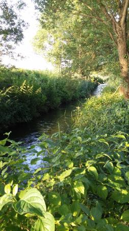 Wiesbach bei Mittelstetten – Bild 1