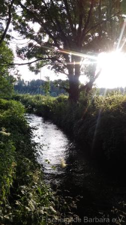 Wiesbach bei Mittelstetten – Bild 2