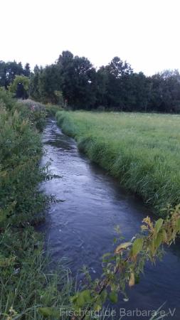Wiesbach bei Mittelstetten – Bild 3