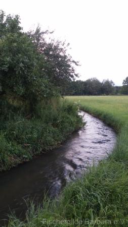 Wiesbach bei Mittelstetten – Bild 4