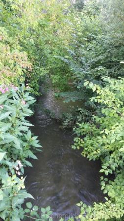 Wiesbach bei Mittelstetten – Bild 7