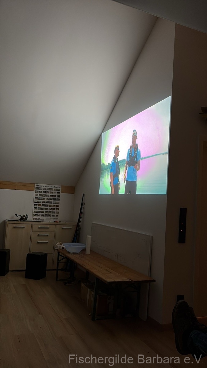 Galeriebild 2